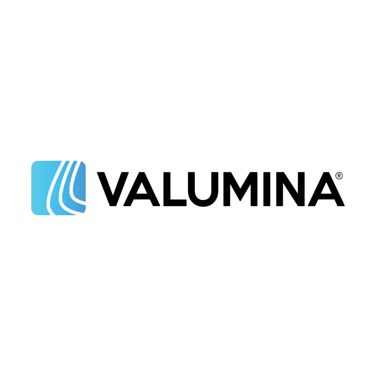 UAB Valumina logotipas