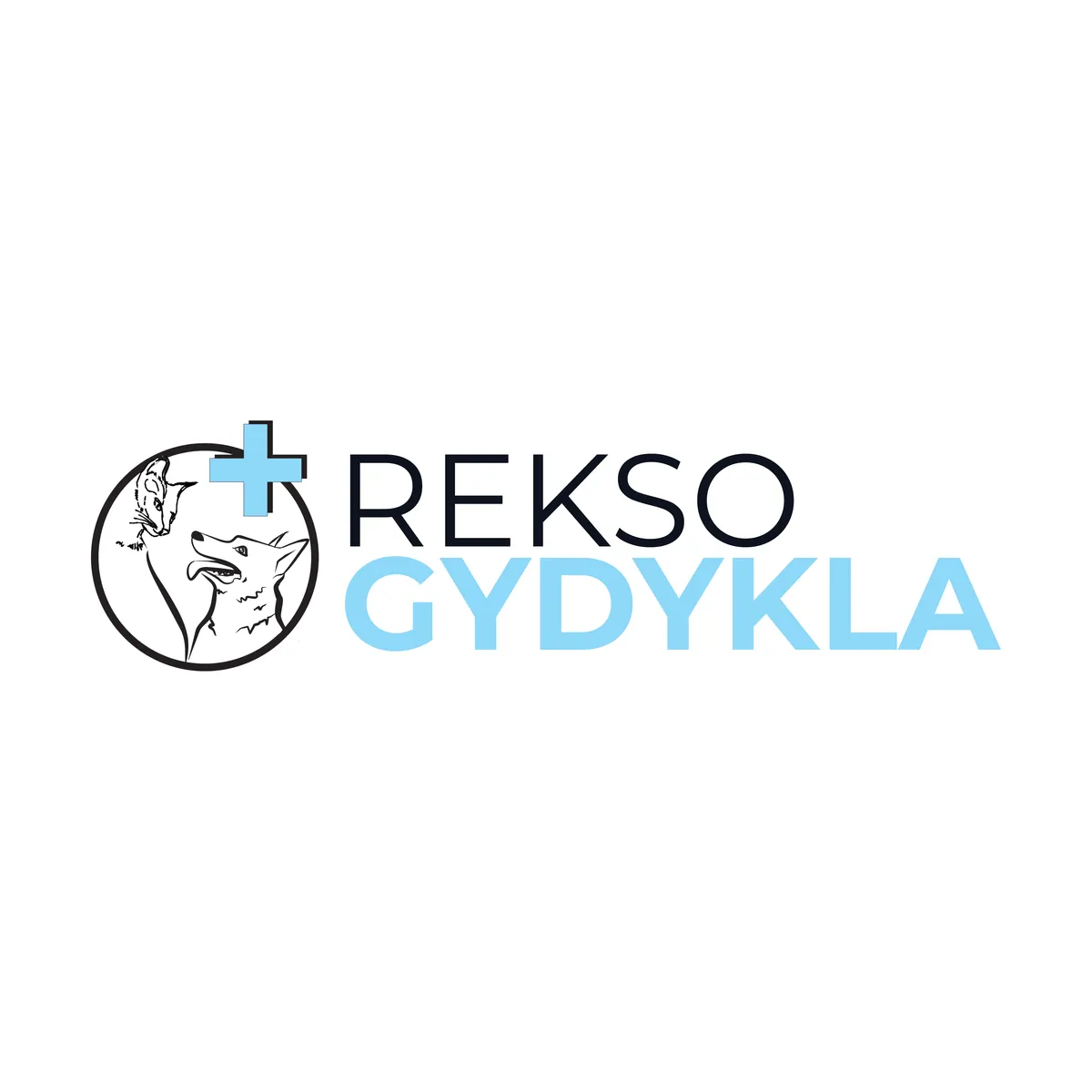Rekso gydykla logotipas