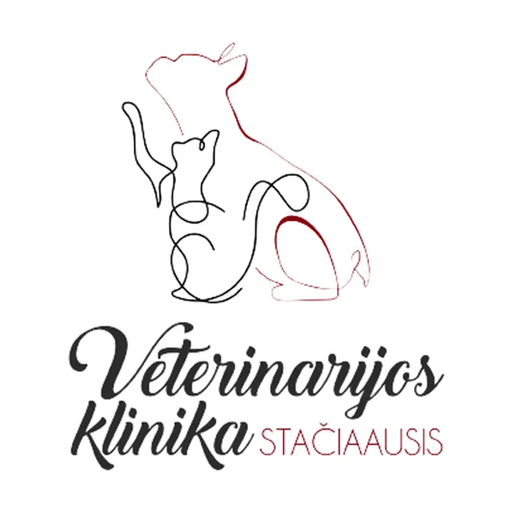 UAB Stačiaausis logotipas