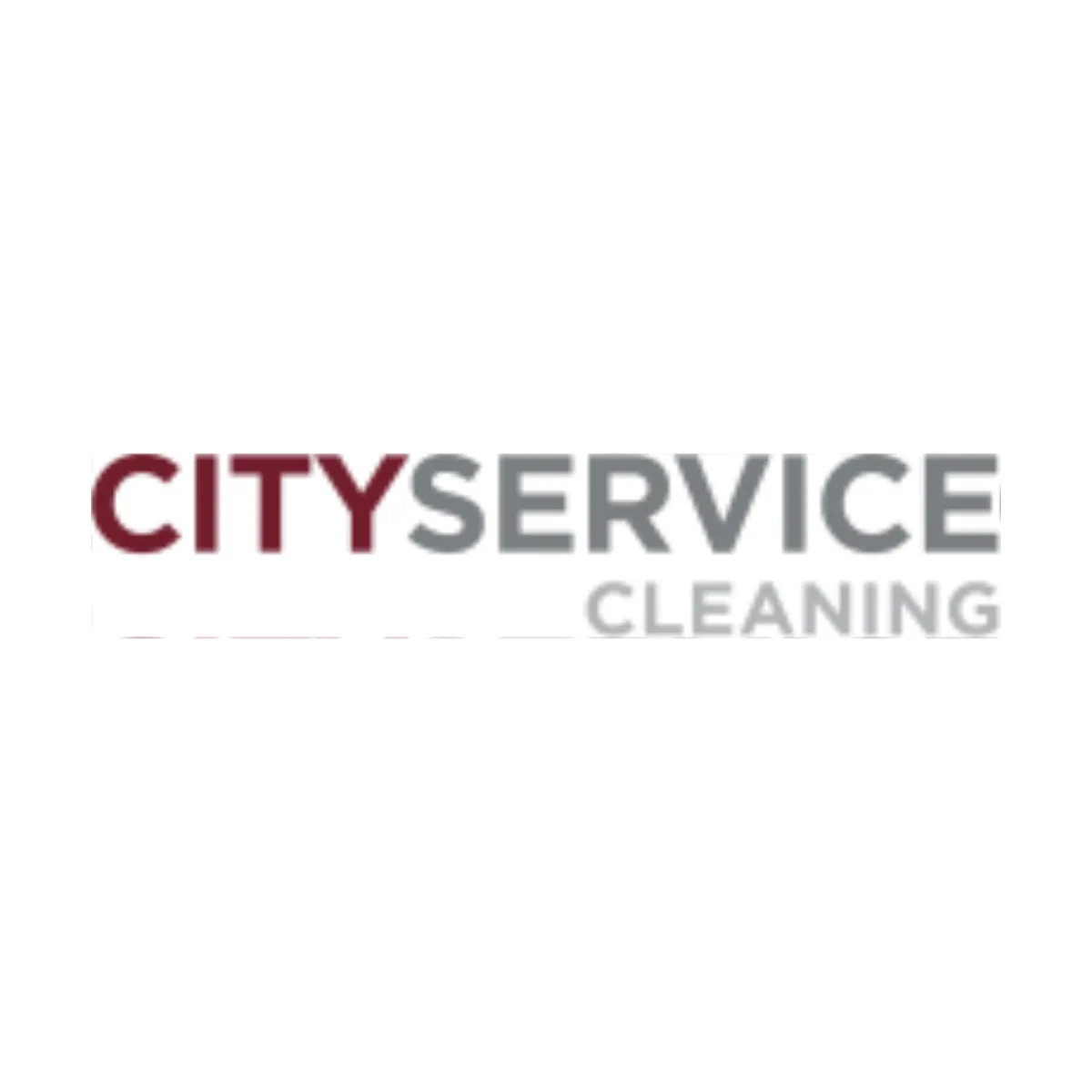 UAB City Service Cleaning logotipas